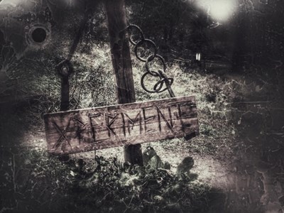 Xperiment